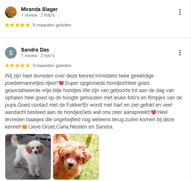 Schermafbeelding 2026-01-07 204018