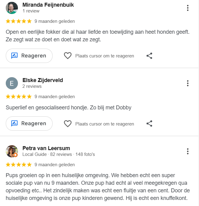 Schermafbeelding 2026-01-07 204036